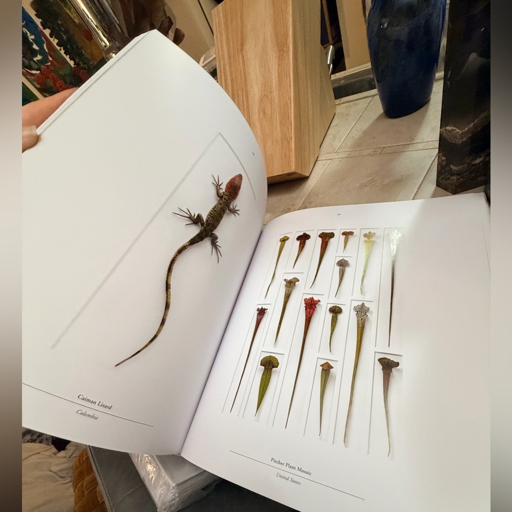 Biophilia art photography by Christopher Marley stunning - Picture 4 of 10